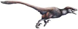 Dakotaraptor_wiki_(white_background)