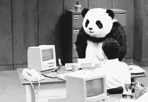 Wütender Panda im Büro