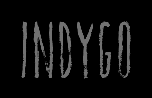 Indygo – Neues Spiel von Fat Dog Games