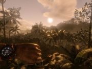 Green Hell – Der Überlebenskampf im Amazonas-Regenwald