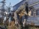 Fallout 76 – Guide: So zähmt ihr Todeskrallen und andere Kreaturen